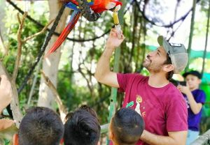 ג'ונגל כיף: עושים חיים עם החיות